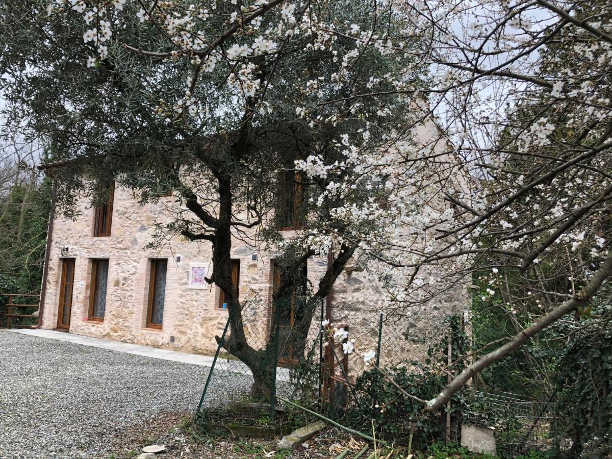 Dolce Vita In Tuscany Cottage Капаннори Экстерьер фото