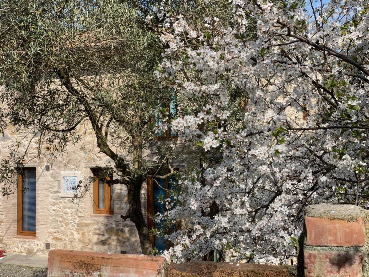 Dolce Vita In Tuscany Cottage Капаннори Экстерьер фото