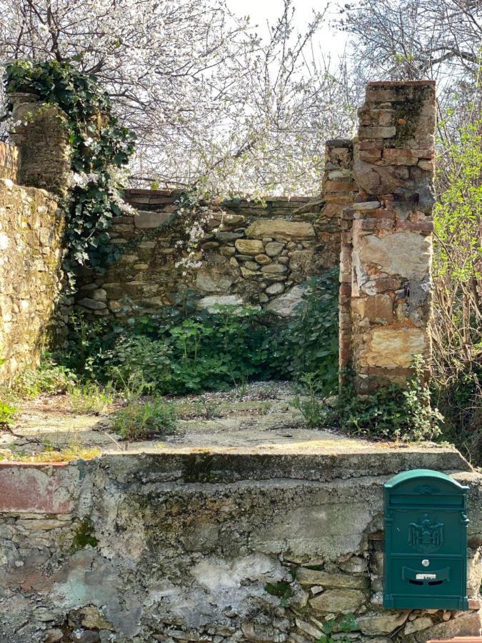 Dolce Vita In Tuscany Cottage Капаннори Экстерьер фото